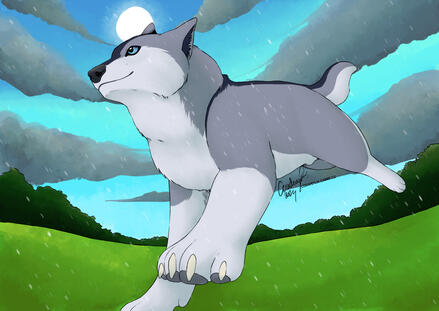 base + soft shading, total 120€