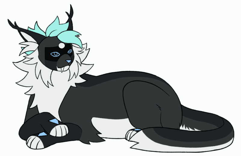 base + full body, total 80€